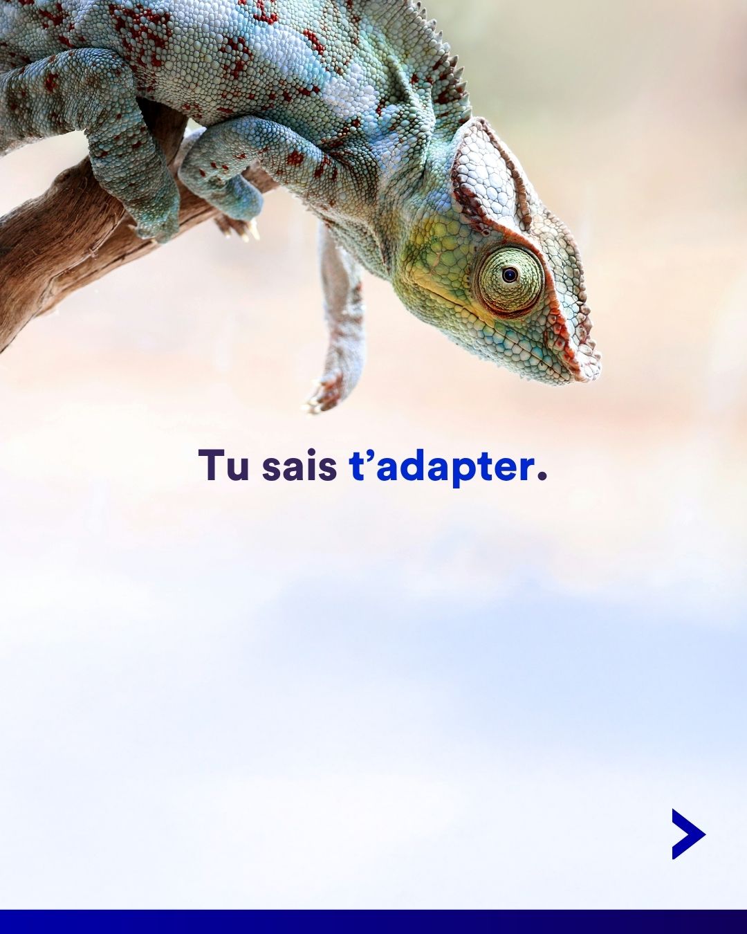 Carrousel Instagram scénographe - slide 5